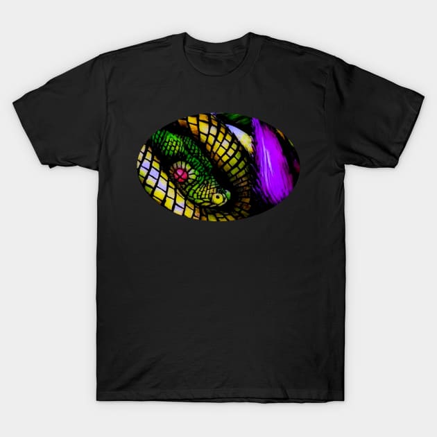 Look Clossssely T-Shirt by SeanKalleyArt